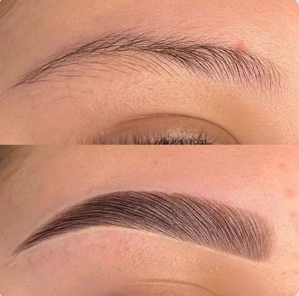 Eyebrow Definer Powder Book